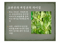 [독일문학] 독일동화 `라푼첼` 분석-14