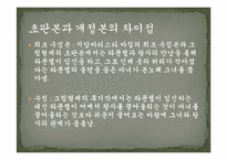 [독일문학] 독일동화 `라푼첼` 분석-15