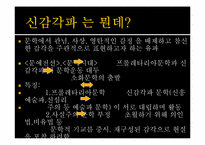 [일본문학] 가와바타 야스나리 `사진`-8