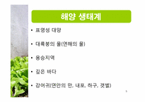 [생태학] 세계 주요 생태계와 그 분류-5