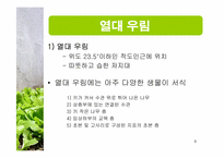 [생태학] 세계 주요 생태계와 그 분류-9