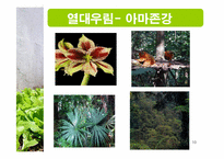 [생태학] 세계 주요 생태계와 그 분류-10