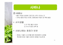 [생태학] 세계 주요 생태계와 그 분류-11