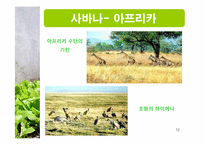 [생태학] 세계 주요 생태계와 그 분류-12