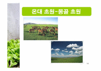 [생태학] 세계 주요 생태계와 그 분류-14
