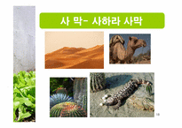 [생태학] 세계 주요 생태계와 그 분류-18
