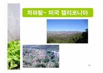 [생태학] 세계 주요 생태계와 그 분류-20