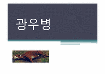 [인간질병과 건강한 삶] 광우병의 위험성 및 대처 방법-1