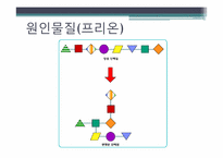 [인간질병과 건강한 삶] 광우병의 위험성 및 대처 방법-6