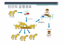 [인간질병과 건강한 삶] 광우병의 위험성 및 대처 방법-8