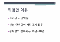 [인간질병과 건강한 삶] 광우병의 위험성 및 대처 방법-10