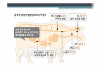 [인간질병과 건강한 삶] 광우병의 위험성 및 대처 방법-12