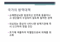 [인간질병과 건강한 삶] 광우병의 위험성 및 대처 방법-13