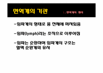 [건강심리] 스트레스와 질병의 이해-6