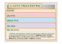[가족상담] 최진실-최진영 가족을 통해서 본 가족의 특성-5