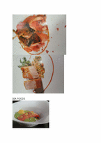 [사업계획서] 수비드 sous-vide 조리법을 사용한 코스 요리 전문점 사업계획서-11
