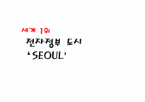 [경영정보학] 전자정부의 이해와 서울시-1
