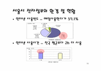 [경영정보학] 전자정부의 이해와 서울시-10