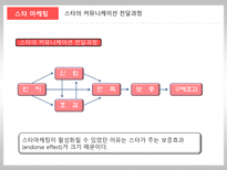 [마케팅관리론] 마케팅의 이해(귀족마케팅,스타마케팅,스포츠마케팅)-9