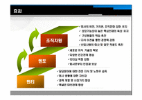 [인사관리] 멘토링-12