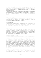 스포츠마케팅-FIFA 월드컵을 중심으로-13
