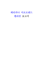 [브랜드 관리] 페리카나 서브브랜드-1