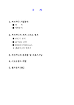 [브랜드 관리] 페리카나 서브브랜드-2