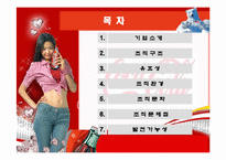 코카콜라 조직이론-2