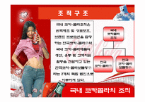 코카콜라 조직이론-11