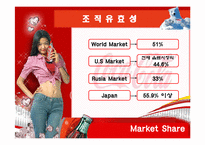 코카콜라 조직이론-13