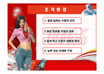 코카콜라 조직이론-15