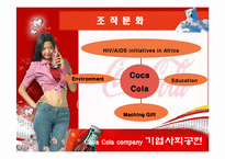 코카콜라 조직이론-16