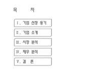 [재무제표분석] LG-PHILIPS LCD 기업사례분석-2