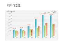 [재무제표분석] LG-PHILIPS LCD 기업사례분석-12