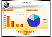 [관광학] 태권도 관광상품과 마케팅전략-7