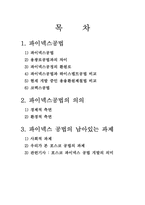 [산업시스템개론] 파이넥스공법-2