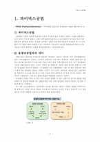 [산업시스템개론] 파이넥스공법-3