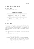 [산업시스템개론] 파이넥스공법-9