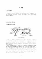 [인간행동] 태내기-4