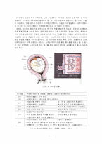 [인간행동] 태내기-6