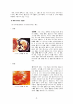 [인간행동] 태내기-7
