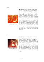 [인간행동] 태내기-8