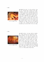 [인간행동] 태내기-9