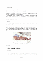 [인간행동] 태내기-13