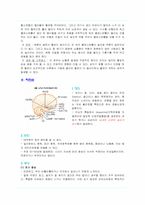 치매 레포트-6
