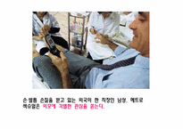 게이 패션 레포트-20
