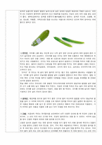 [한국음식 만들기] 비빔밥,오이선,호박선-5