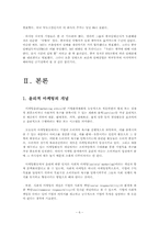다국적 기업의 윤리경영-8