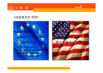[농산물 무역분쟁] 미국- EU 호르몬 쇠고기 분쟁-8
