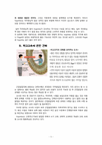 [성장발달론] 비고츠키 Vygotsky의 사회역사적 인지발달론-9